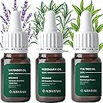 Essential Oils for Hair Growth – Pure Rosemary Lavender Tea Tree Oil Set (10ml each) 100% Natural Therapeutic Grade Oils for Hair Care & Scalp Treatment