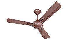 Havells 1200mm Ambrose ES Ceiling Fan|Premium Finish,Deco. Fan,Elegant