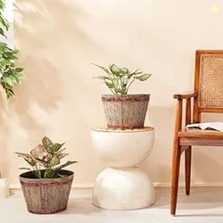 Amazon Brand- Solimo Indoor and Outdoor Round 14 Inch Barrel Flower Pl