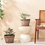 Amazon Brand- Solimo Indoor and Outdoor Round 14 Inch Barrel Flower Planter Pot Best for Terrace/Balcony/Home/Office Decor – Set of 2