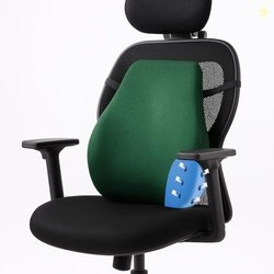 Sleepsia Back Support for Office Chair 1 Year Warranty Lumbar Support