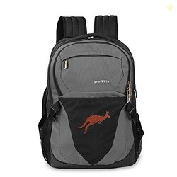 Protecta Enigma 30 L Water Repellant Backpack for Laptops Up to 15.6 I