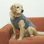Pet’s Way Dog Winter Winter Frost Jacket (Grey-XL) | Dog Winter Wear Climate Control -10Â° Jacket | Available for All Breeds