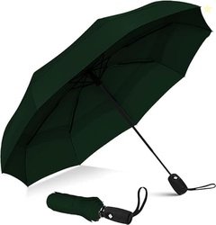 perpetual Auto Open-Close Windproof Umbrella | Compact Travel Design |