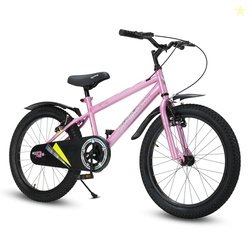 Lifelong Strong Cycle Frame, Dual Disc Brakes