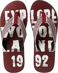 Signoraware Slim Borosilicate Glass Three Compartment Lunch box | Leak