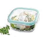Treo by Milton Clip Fresh Borosilicate Glass Square Container with Air-Vent Lid for Kitchen/Tiffin, 320ml | Food Safe, Airtight & Leakproof | Microwave & Freezer Safe, Ideal For Lunch Box, Kitchen Use