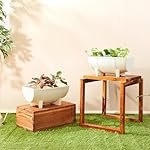 Amazon Brand- Solimo Indoor and Outdoor Rectangular 16 Inch Flower Planter Pot Best for Terrace/Balcony/Home/Office Decor – Set of 2