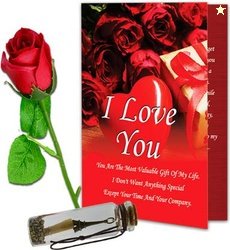 Avirons Greeting Card, Artificial Flower, Message Pills Gift Set