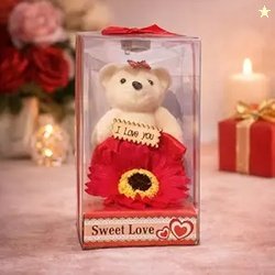 Valentine Gifts for Girlfriend Wife Girls Woman, Gift Items for Women,