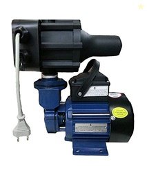 Crompton Greaves 1HP Pressure Pump