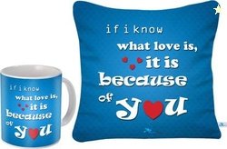 SKY TRENDS Cushion Gift Set