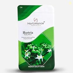 Hortria Turkey berry seeds used for grafting brinjal and tomato, 10 gr
