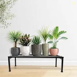 NAYRA Durable Heavy Metal Planter Stands| Rectangular Metal Master Pla