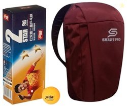 DHS TT Ball 40MM 2 Star Orange (10 Pcs Box) 50 PCS with Smart PRO TT S