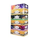MISTIQUE 2 Ply Facial Tissue Paper | Car Tissue | Soft and Highly Absorbent | Pack of 6 (100 Pulls Per Box, 200 Sheets) | Sheet Size (17 * 20) cm