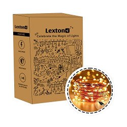 Lexton Decorative Fairy Copper String Light | USB Plug in, 5 Meter Lon