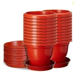Kraft Seeds by 10CLUB Colourful Pots - 20 Pcs (6 inch, Red) | Flower P