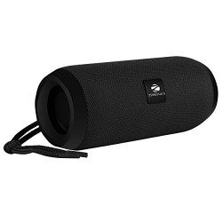 Zebronics Zeb-Action Portable 10W BT Speaker with TWS Function, USB, m