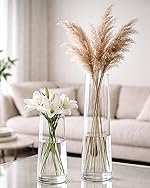 HomesakeÂ® Glass Vase for Plants Flowers (Transparent, 29 cm X 8 cm) – Living Room Glass Vase Pot for Water Plants Home DÃ©cor Dining Table Decoration Bedroom Hall House Warming Gift, Stem (Set of Vase)