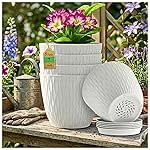 Eightiz (Pack of 5 6 Inch Plastic Flower Pots for Indoor & Outdoor Terrace,Garden Plants Decorative Planters with Drainage Holes & Matching Saucers Durable & Lightweight (White)