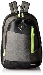 Gear 46 Cms Grey And Green Casual Standard Backpack (Bkpdual000403), 30 Litre