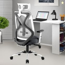 ASTRIDE Ergofit Ergonomic Office Chair for Home | 3-Years Warranty | 2