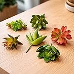 SATYAM KRAFT 6 Pcs Artificial Succulent Heads | Mini Green Fake Succulent unpotted Plants for DIY Crafts, Home Decor, Office Desk, Table Decoration, Indoor Outdoor Decorative & Gifting (Pack of 6)