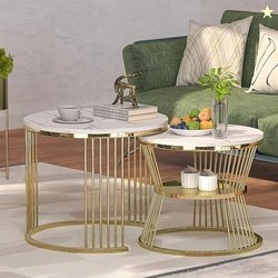 Callas Modern Nesting Coffee Table Set of 2 with Marble Finish Enginee