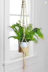ecofynd Macrame Plant Hanger, Cotton Rope Flower Pot Holder for Indoor