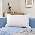 Wakewell Foam Pillow, Set/Pack of 1 Pillows, 61 X 41 Cm, White (1 Pillow)
