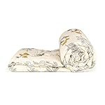 Livpure Smart Microfiber All Weather Reversible Comforter, Beige-Colour, Floral Bouquet Pattern,Double Size 100 GSM| TC – 100