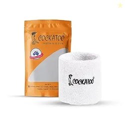 Cockatoo Wrist Band for Men and Women - Gym, Badminton, Workout (Pack