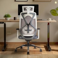 INNOWIN Tokyo Office Chair,High Back Mesh Ergonomic Home Office Desk C