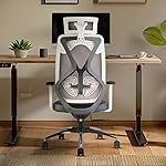 INNOWIN Tokyo Office Chair,High Back Mesh Ergonomic Home Office Desk Chair with 3 Years Warranty, Adjustable Armrests,Adjustable Lumbar Support,Tilt Lock Mechanism (Grey)