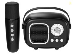 XECH Karaoke Speaker with Wireless Mic for Singing | Retro Radio Desig