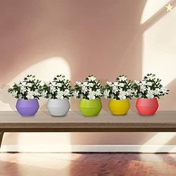 TrustBasket Adam Self Watering Pot (Set of 5)| Window Plant Pot for Ho