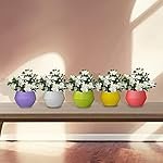 TrustBasket Adam Self Watering Pot (Set of 5)| Window Plant Pot for Home Decor