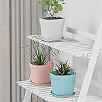 Pack of 3 Square Plastic Flower Pot with Tray | Modern Indoor Outdoor Planter for Home Balcony Garden Office | Durable Lightweight Planter Pot | 6 Inch, Multi