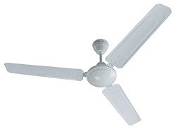 Bajaj Frore 1200 MM (48 ) Stars Rated Ceiling Fans for Home | BEE 1 st