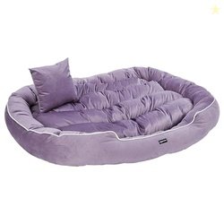 Amazon Basics Polyester XXL Pet Bed with Cushion | Ideal for Big Dogs