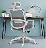 Da URBANÂ® Dysen Office Chair, High Back Mesh Ergonomic Home Office Desk Chair with 1 Year Warranty,Tilt Lock Mechanism (Grey)