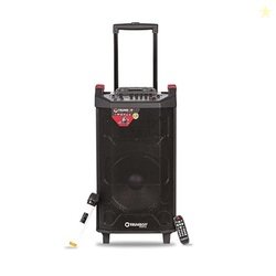 TRUVISON DJ-SOUNDBANK Black Beauty Wooden Karaoke Party Speaker Portab