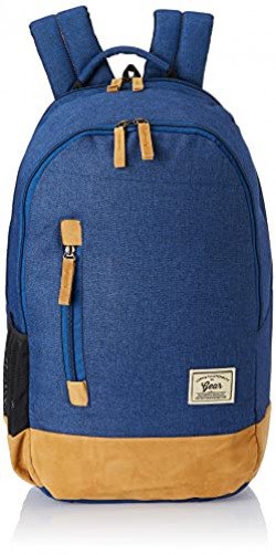 Gear Classic 49 cms Brown and Blue Casual Backpack (BKPCAMPS81002)