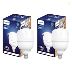 Philips 30 - watt LED Bulb | AceBright High Wattage LED Bulb | Bulb Ba