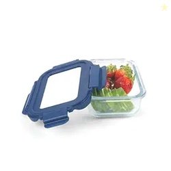 SignoraWare Secure N Store Borosilicate Glass Rectangular Container |