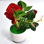Artificial Rose Flower Plant with Pot, for Home Office Or Gift