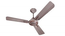Havells 1200mm Ambrose Energy Saving High Speed Ceiling Fan|Premium Fi