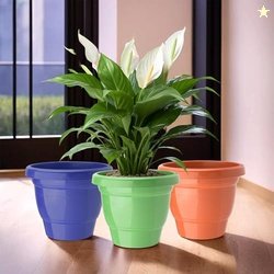 Urbane Home (Pack of 3) Flower Pot | 2-Layer Fuldani Flower Pot | (6 I