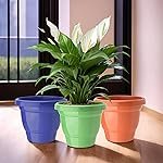 Urbane Home (Pack of 3) Flower Pot | 2-Layer Fuldani Flower Pot | (6 Inch) Pots for Terrace, Garden | Phooldaan for Home DÃ©cor | Indoor Plant Stand | Plants Stand | Green-Blue & Orange